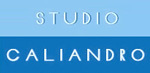 Studio Caliandro - Bologna Studio Caliandro - Bologna
